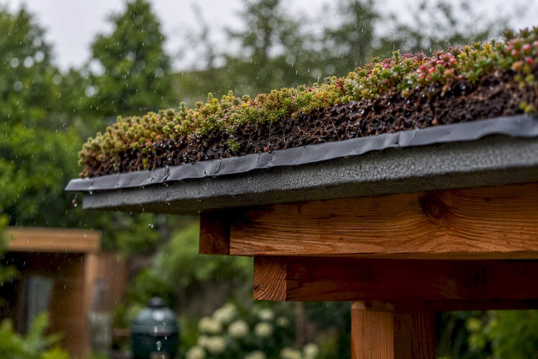 Overkapping met sedumdak: duurzame keuze mét voorbehoud